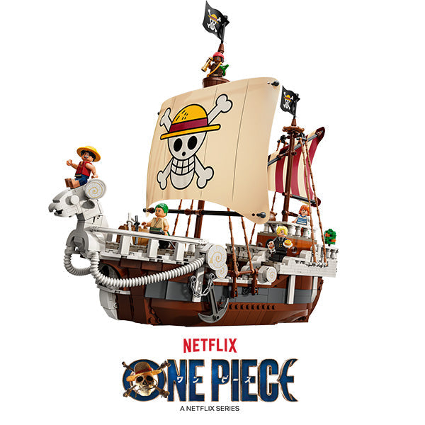 LEGO® ONE PIECE | Import A Toy