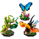 LEGO® Ideas The Insect Collection Building Set for Adults 21342