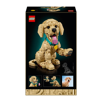 LEGO® ICONS Golden Retriever Puppy Animal Figure Building Set 11384 - 0