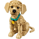 LEGO® ICONS Golden Retriever Puppy Animal Figure Building Set 11384-3