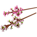 LEGO® Botanicals Cherry Blossoms Flowers Decor Set 40725-3
