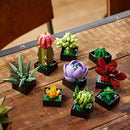 LEGO® ICONS Succulents Plant Decor Building Kit 10309 - SLIGHTLY DAMAGED BOX-9