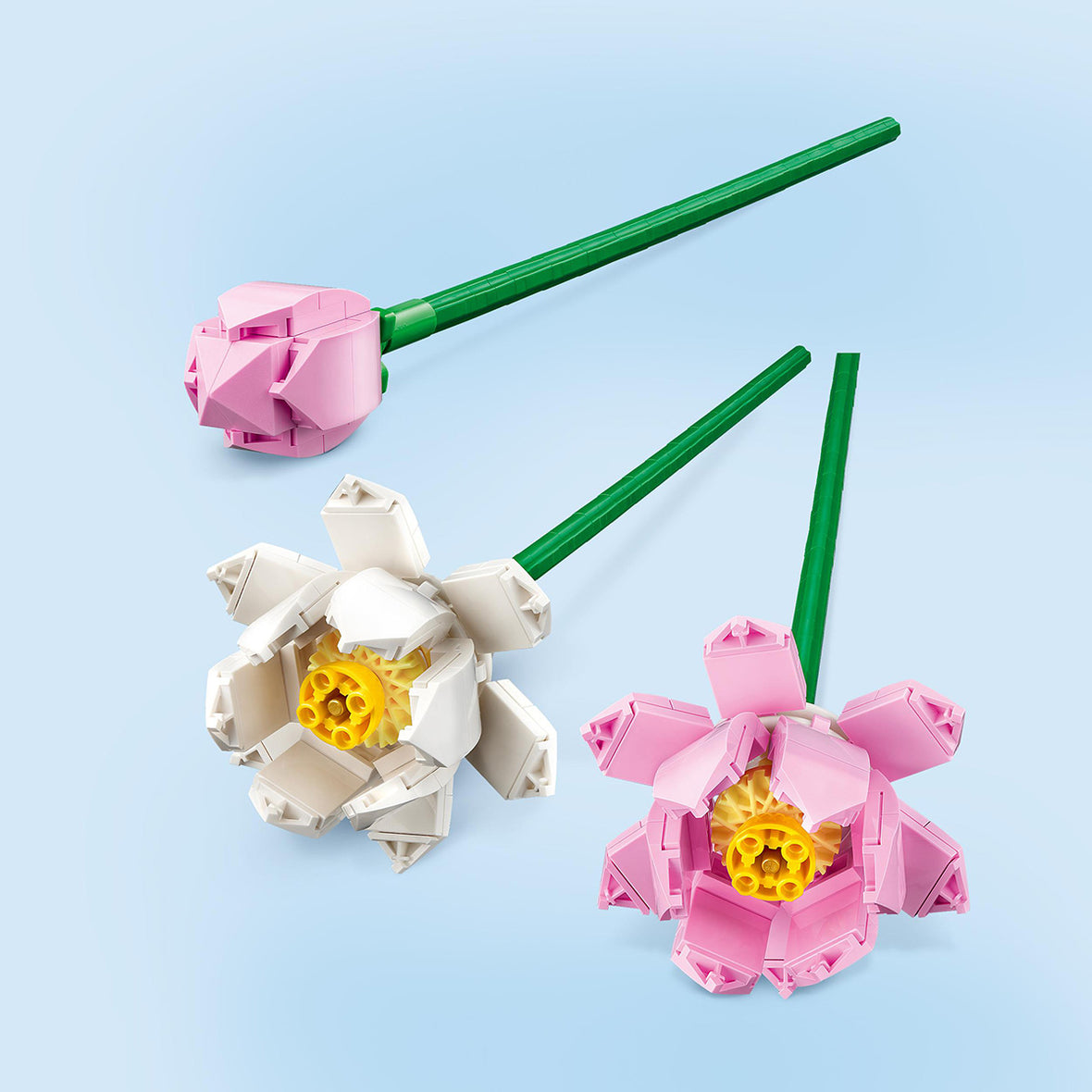LEGO® Botanicals Lotus Flowers Desk Decoration Set 40647