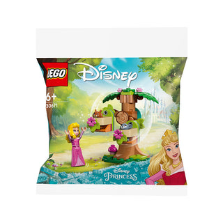 LEGO® DISNEY™ Aurora's Forest Playground 30671