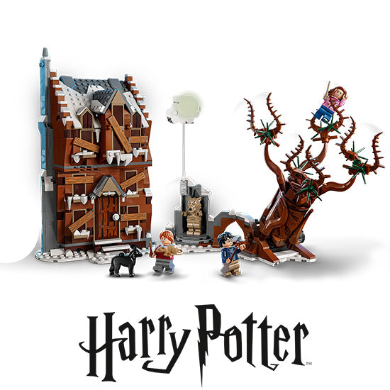 LEGO® Harry Potter™