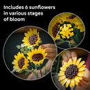 LEGO® Botanicals Sunflower Bouquet Flower Decor 11502-6