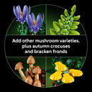 LEGO® Botanicals Woodland Mushrooms Building Set 11505-8