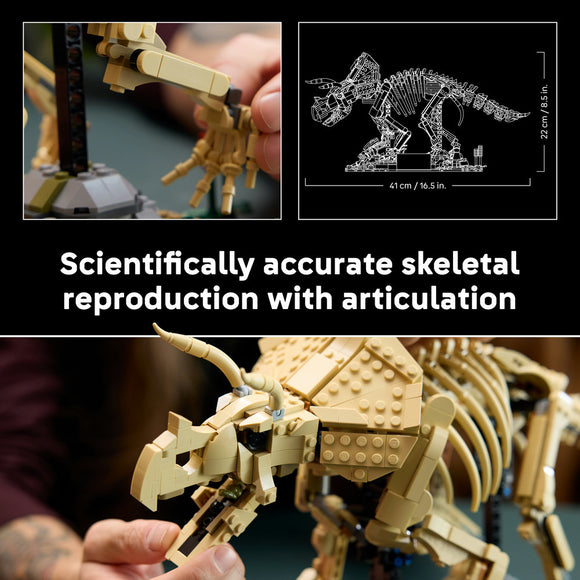LEGO® Jurassic World Dinosaur Fossils: Triceratops Model Building Kit 77985 - DAMAGED BOX