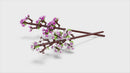 LEGO® Botanicals Cherry Blossoms Flowers Decor Set 40725-9