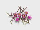 LEGO® Botanicals Magnolia Branches Flower Decor 11510-11
