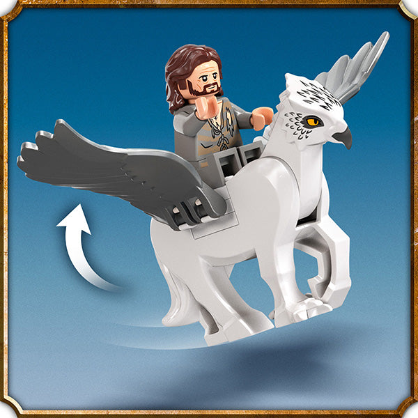 LEGO® Harry Potter™ Hogwarts™ Courtyard: Sirius’s Rescue Building Kit 76401
