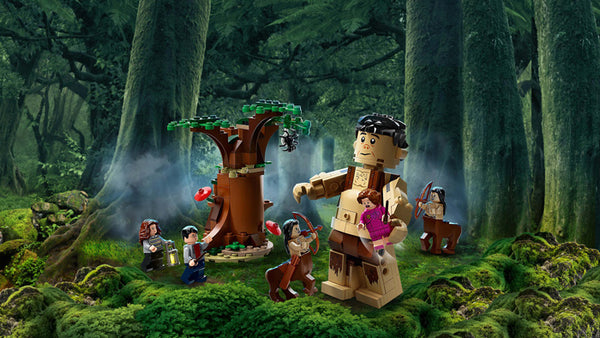 LEGO® Harry Potter Forbidden Forest: Umbridge's Encounter
