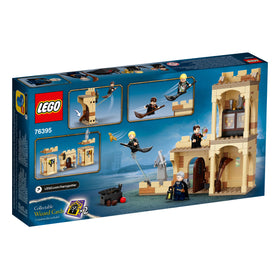 LEGO® Harry Potter Hogwarts™: First Flying Lesson 76395 - 0