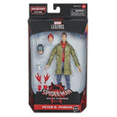 Marvel Legends Series Spider-Man: Into the Spider-Verse Peter B. Parker-6
