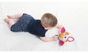 Tiny Love Into The Forest Oscar Rattle Toy