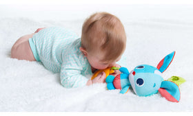 Tiny Love Meadow Days Thomas Jitter Baby Toy