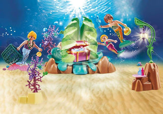  Playmobil Crystal Gate to The Winter World : Toys & Games