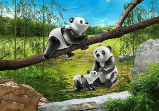 PLAYMOBIL Pandas with Cub 70353